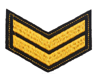 Шеврон по годам службы (годовка) 2 года службы (выслуги лет), 7,5х5,5 см Шеврон по годам службы (годовка) 2 года службы (выслуги лет), 7,5х5,5 см