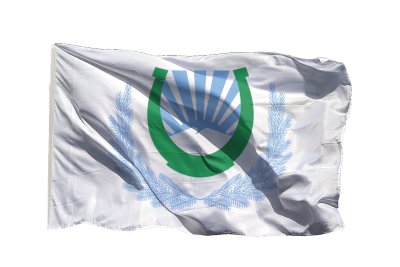 Флаг Нальчика 90х135 см