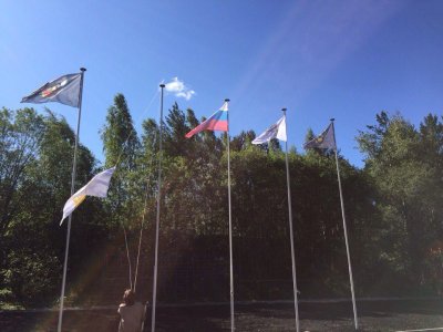 Флагшток уличный стационарный ЭКОНОМ СТАНДАРТ 10 метров Флагшток уличный стационарный ЭКОНОМ СТАНДАРТ 10 метров