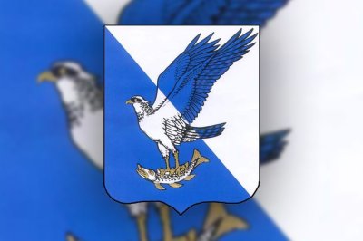 Флаг Волжска 90х135 см Флаг Волжска 90х135 см